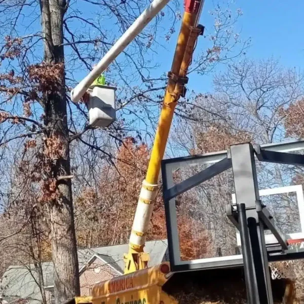 Crane Work Expert in Glen Burnie
