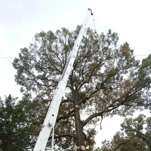 Crane Work Expert in Maryland