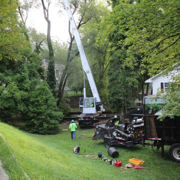 Crane Work Services Glen Burnie 1