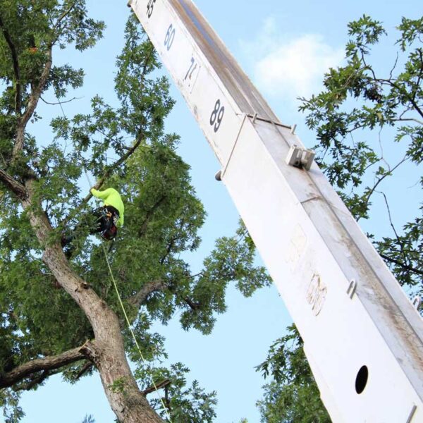Crane Work Services Glen Burnie 3