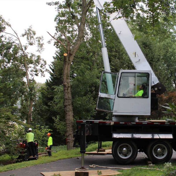 Crane Work Services Glen Burnie 4