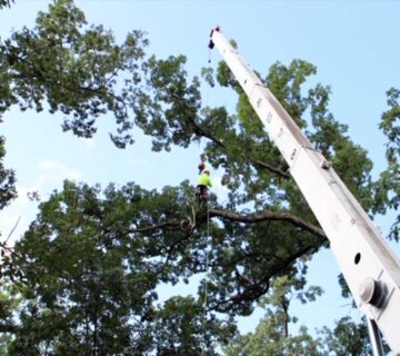 Crane-Work-Services-Maryland