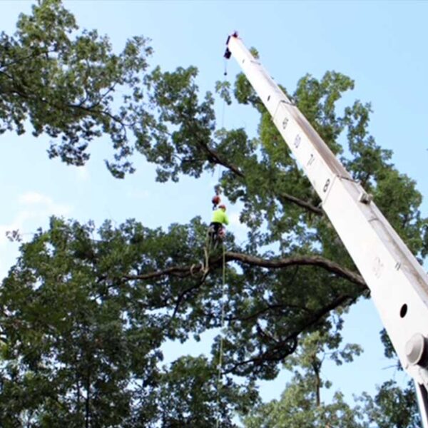 Crane-Work-Services-Maryland
