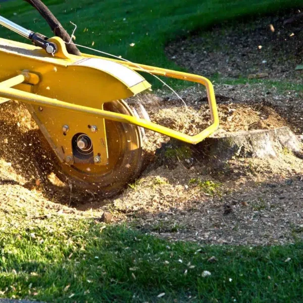 Stump-Grinding-Service-Maryland