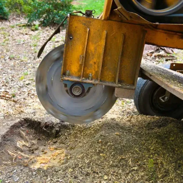 Stump Grinding Service Specialist