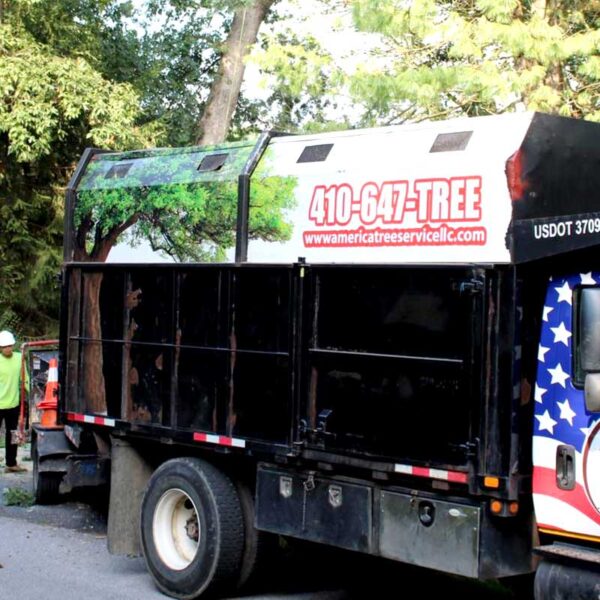american-tree-services-maryland