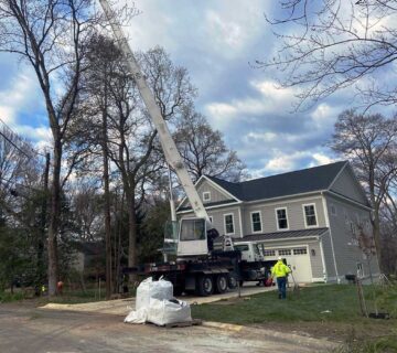Crane Services