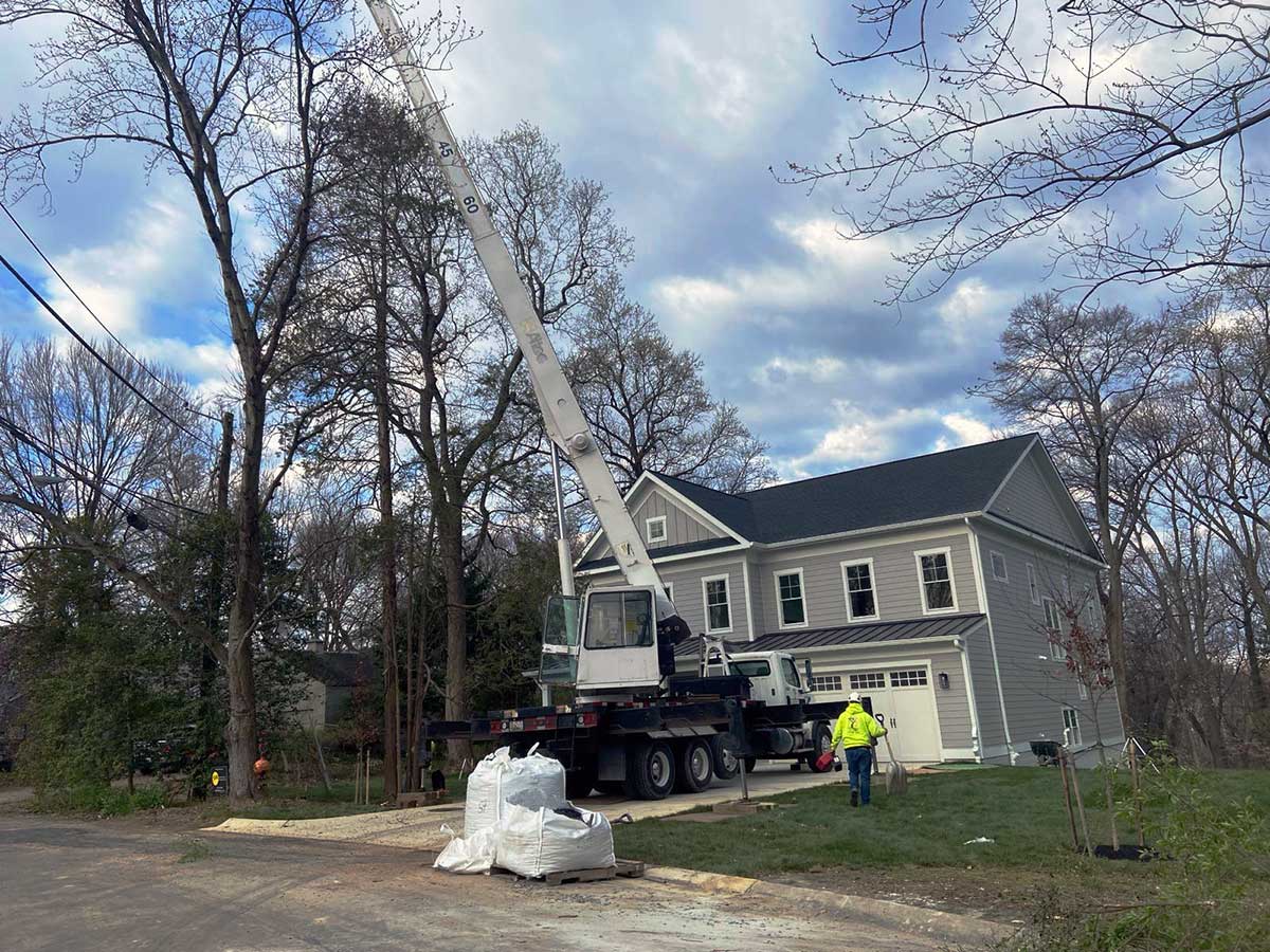 Crane Services