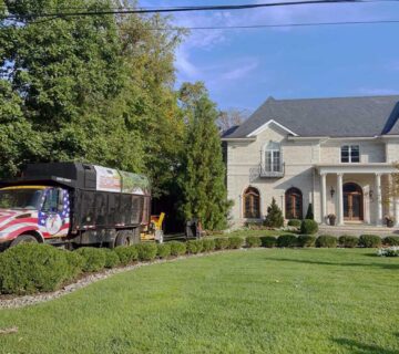 Top Landscaping Tips