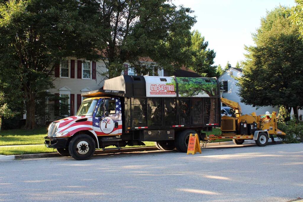 Tree Removal in Rockville, MD Tree removal services in Rockville, MD