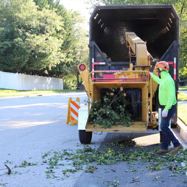 tree services maryland 2